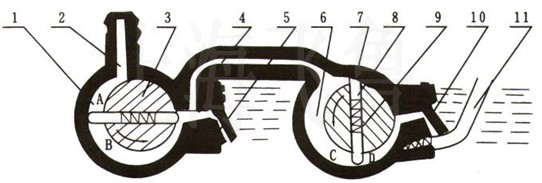 QBX-6��Ӹ�Ĥ�����������D